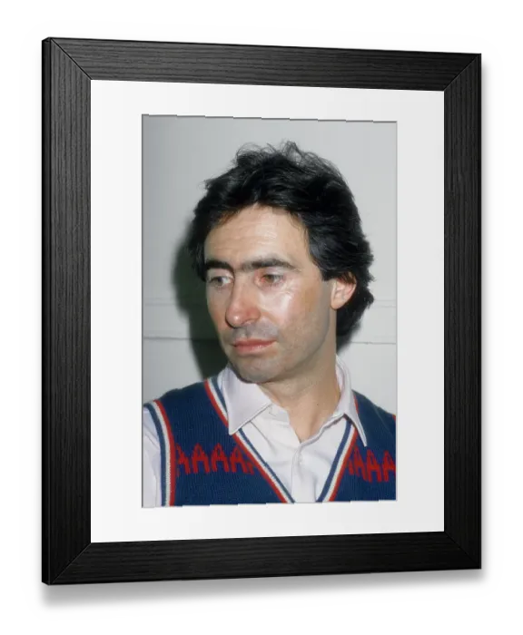 Framed Print : David Steinberg Framed Print : David Steinberg