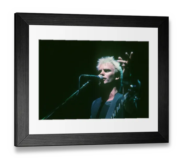 Framed Print : Photo of Sting Framed Print : Photo of Sting