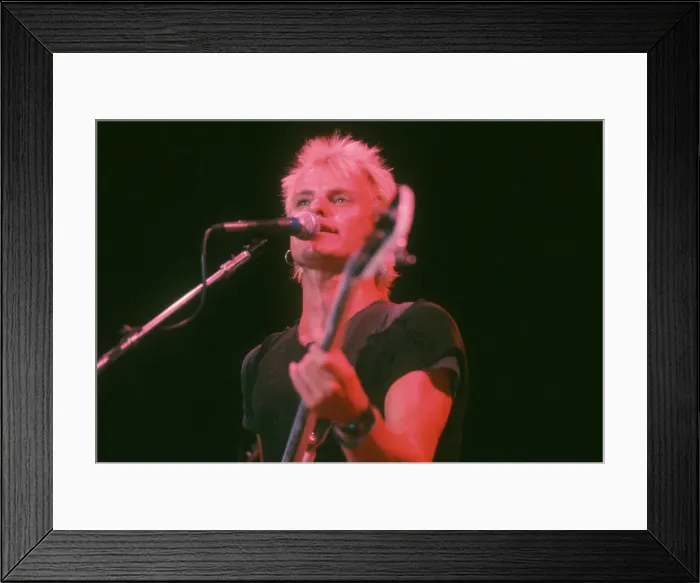 Framed Print : Photo of Sting