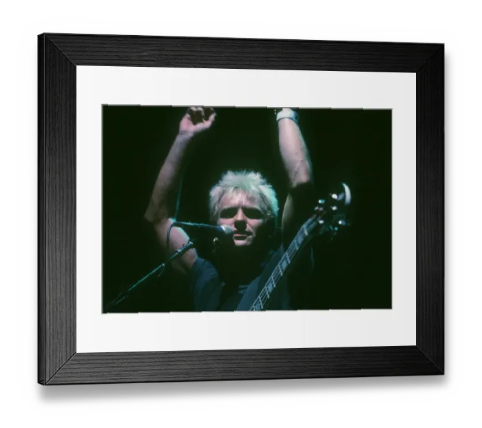 Framed Print : Photo of Sting Framed Print : Photo of Sting