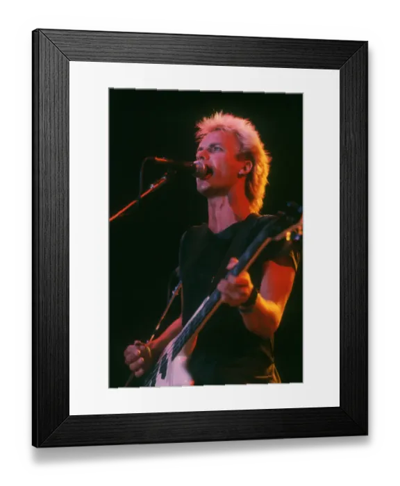 Framed Print : Photo of Sting Framed Print : Photo of Sting