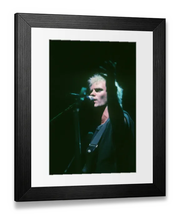 Framed Print : Photo of Sting Framed Print : Photo of Sting