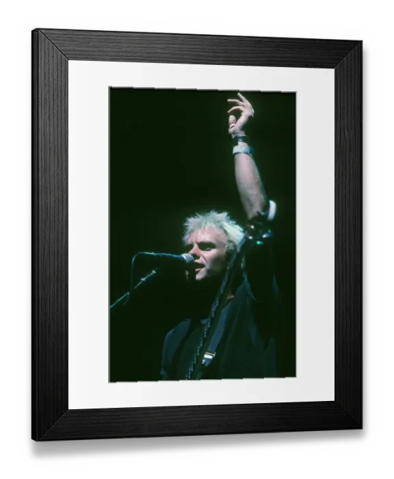 Framed Print : Photo of Sting Framed Print : Photo of Sting