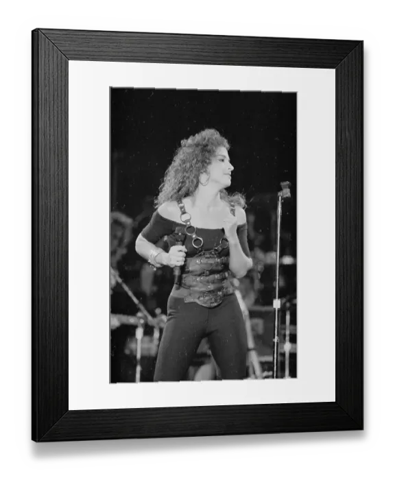 Framed Print : Photo of Gloria Estefan Framed Print : Photo of Gloria Estefan