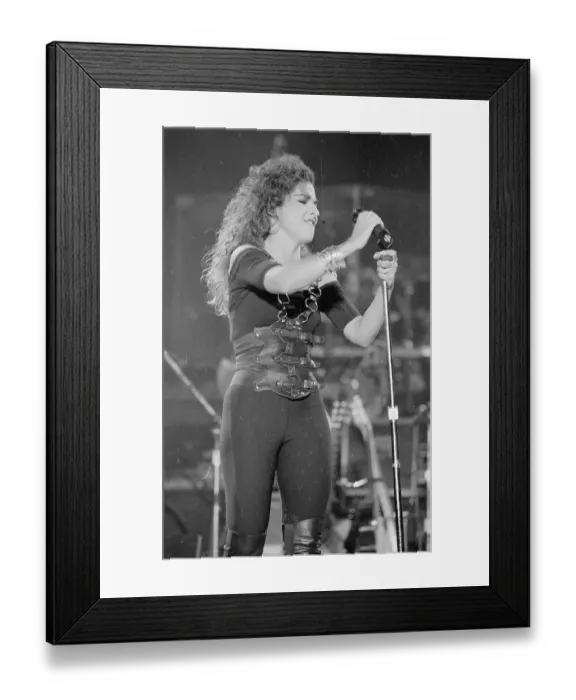 Framed Print : Photo of Gloria Estefan Framed Print : Photo of Gloria Estefan