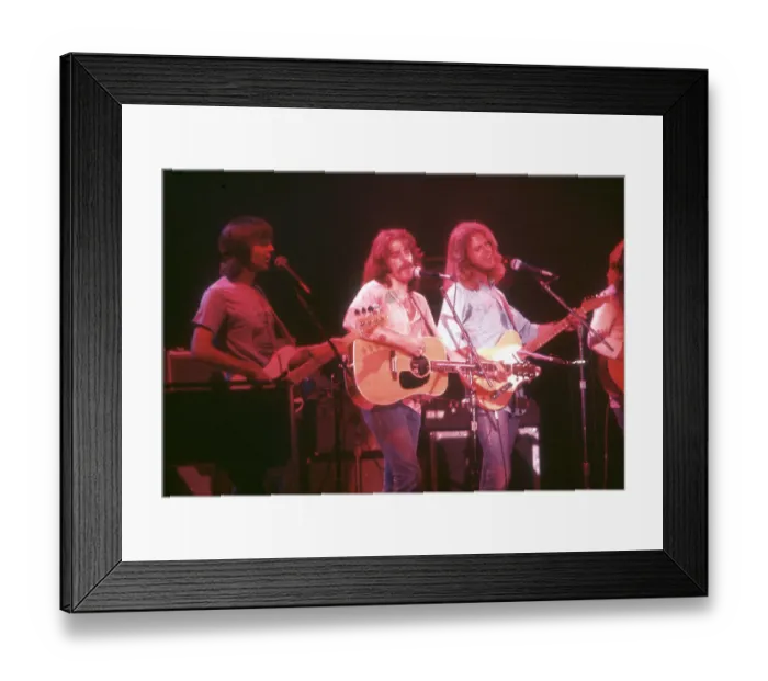 Framed Print : Eagles Performing Framed Print : Eagles Performing