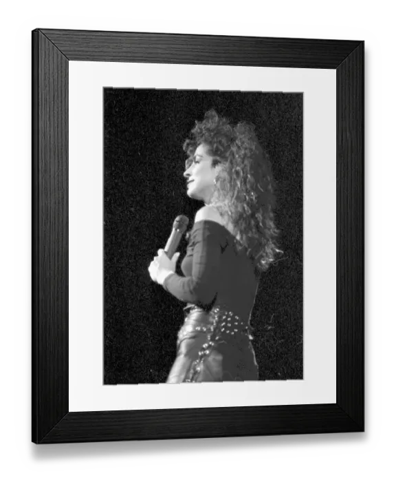 Framed Print : Photo of Gloria Estefan Framed Print : Photo of Gloria Estefan