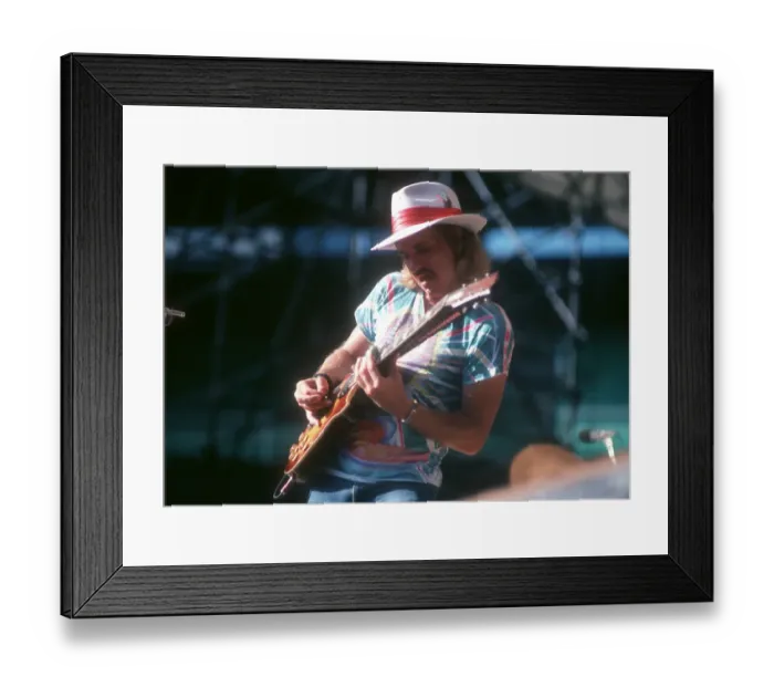 Framed Print : Eagles Performing Framed Print : Eagles Performing
