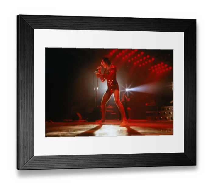 Framed Print : Queen Concert Framed Print : Queen Concert