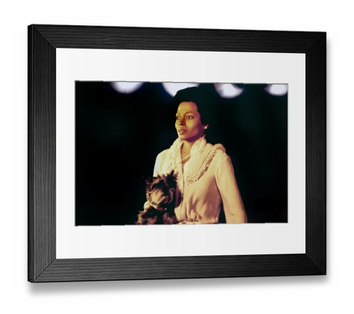 Framed Print : The Wiz. NEW YORK - 1978: Diana Ross in a scene Framed Print : The Wiz. NEW YORK - 1978: Diana Ross in a scene