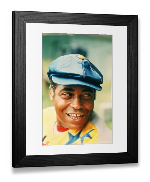 Framed Print : The Bingo Long Traveling All-Stars & Motor Kings Framed Print : The Bingo Long Traveling All-Stars & Motor Kings