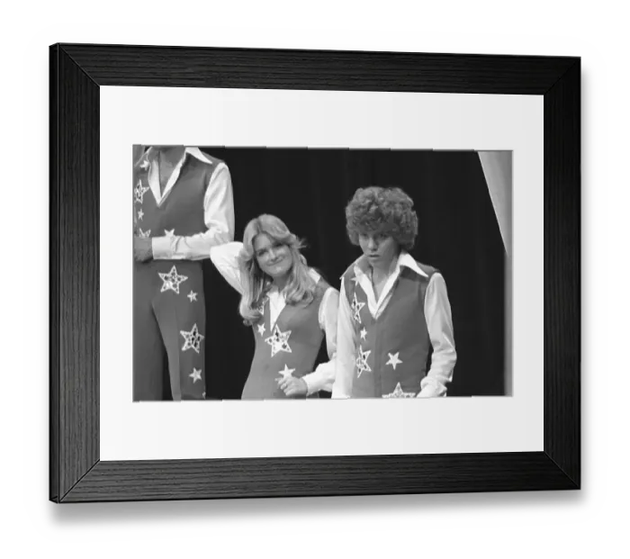 Framed Print : The Brady Bunch Hour Framed Print : The Brady Bunch Hour