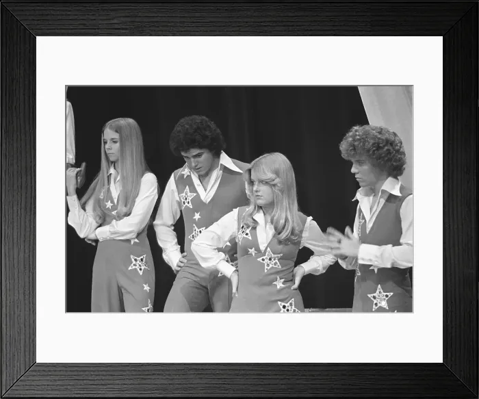 Framed Print : The Brady Bunch Hour Framed Print : The Brady Bunch Hour