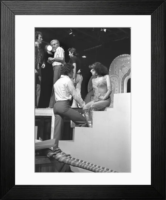 Framed Print : The Brady Bunch Hour Framed Print : The Brady Bunch Hour