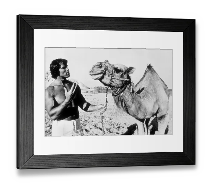 Framed Print : Arnold Schwarzenegger Framed Print : Arnold Schwarzenegger