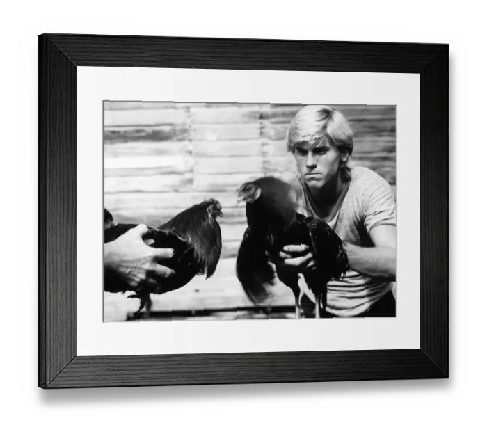 Framed Print : Rooster Film Still