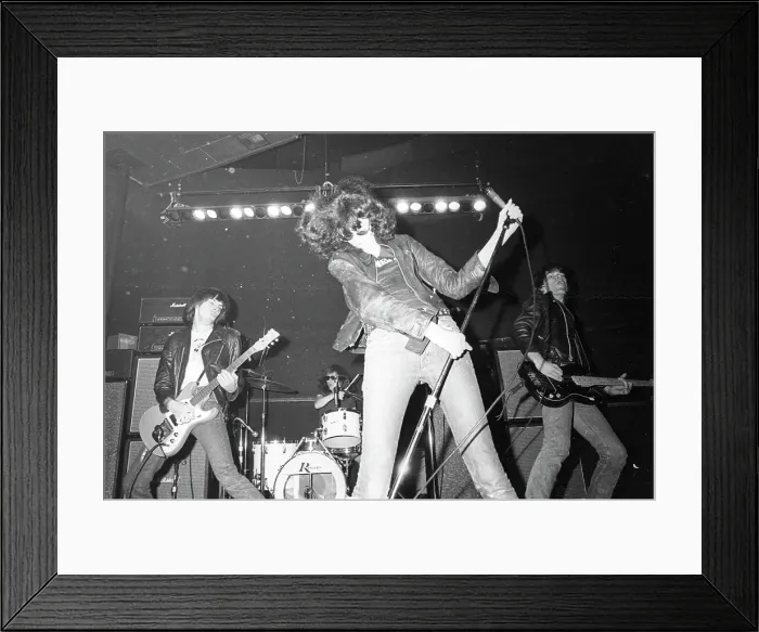 Framed Print : The Ramones Performing