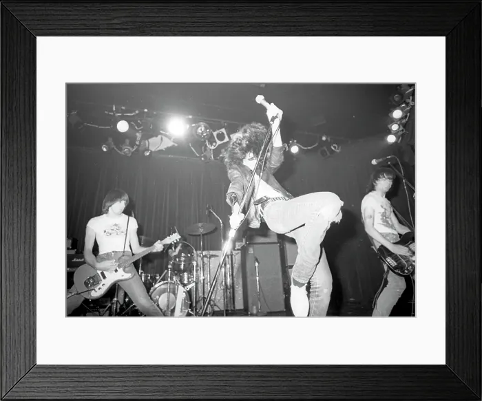 Framed Print : The Ramones Performing Framed Print : The Ramones Performing