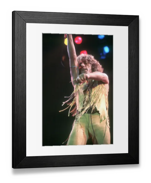 Framed Print : The Who Performing Framed Print : The Who Performing