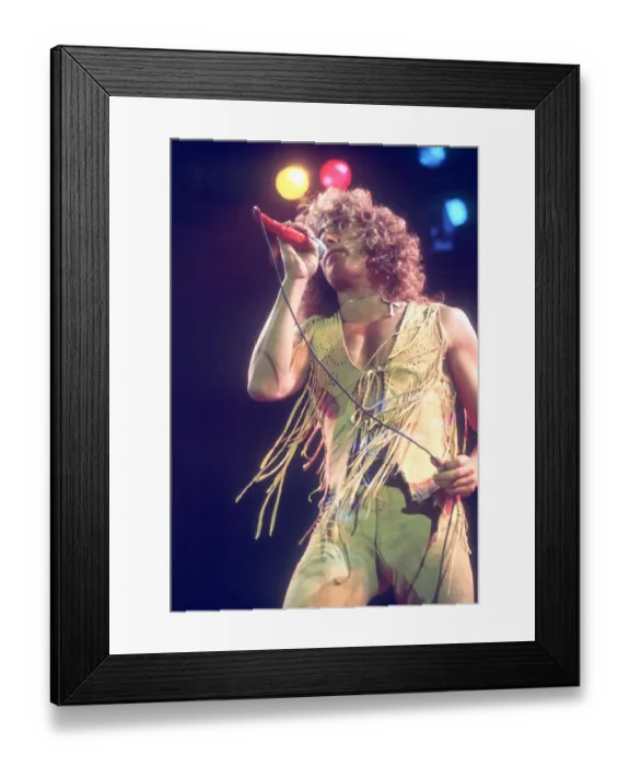 Framed Print : The Who Performing Framed Print : The Who Performing