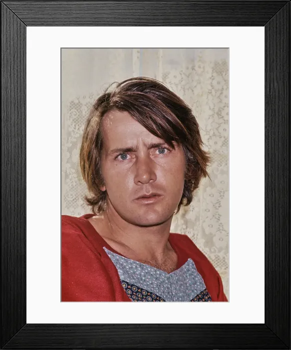 Framed Print : Martin Sheen, American Actor