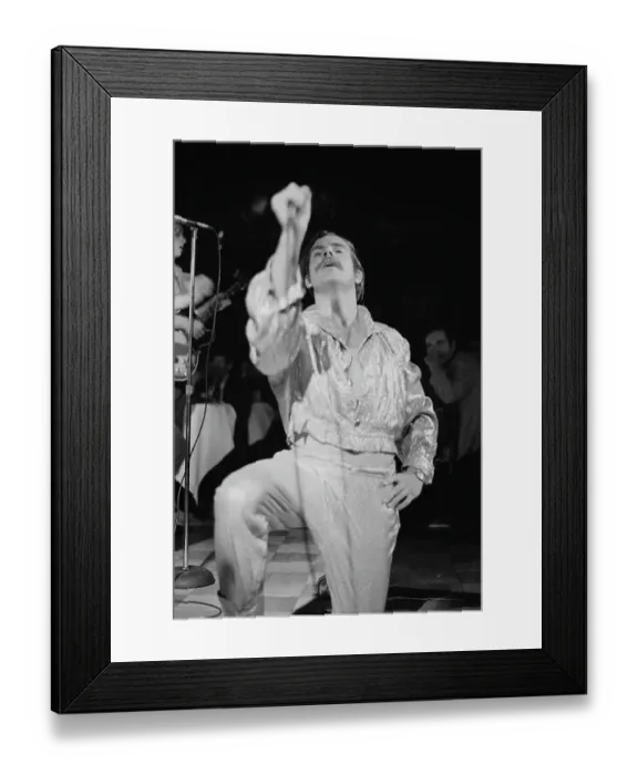 Framed Print : Sha Na Na, American Doo-Wop Band