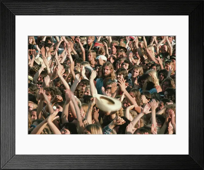 Framed Print : Concert Crowd