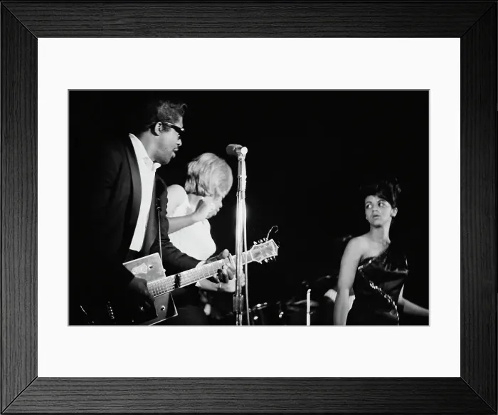 Framed Print : Bo Diddley Framed Print : Bo Diddley