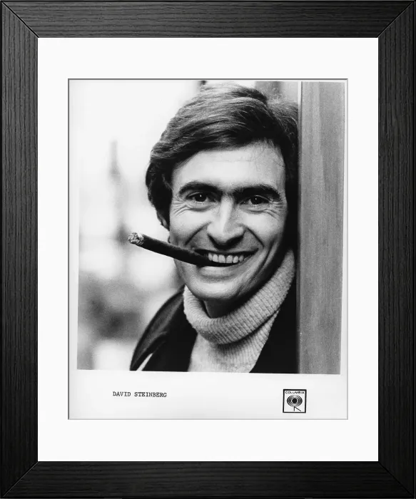 Framed Print : David Steinberg