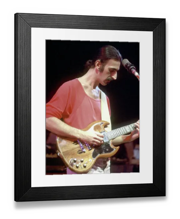 Framed Print : Zappa In Los Angeles Framed Print : Zappa In Los Angeles