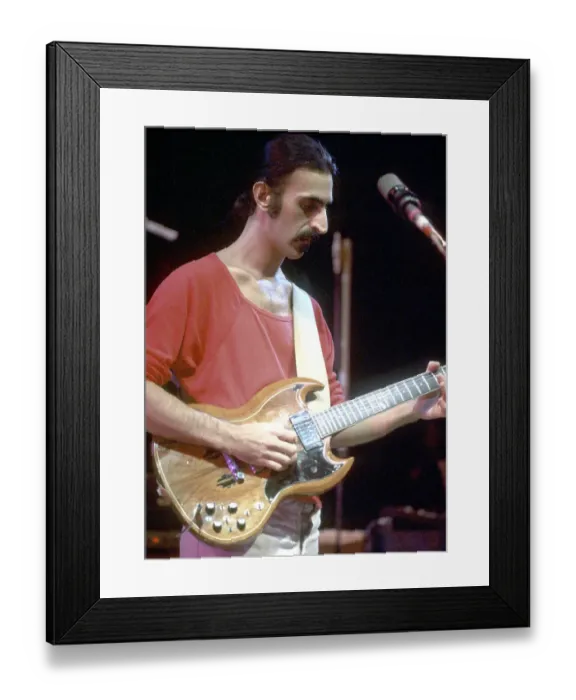 Framed Print : Zappa In Los Angeles Framed Print : Zappa In Los Angeles