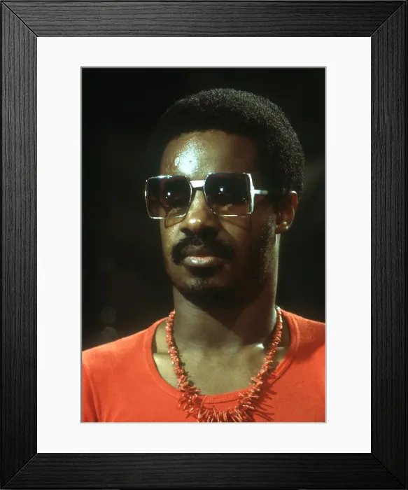 Framed Print : Stevie Wonder Framed Print : Stevie Wonder