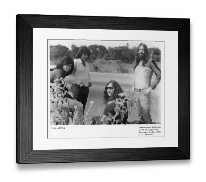 Framed Print : The Seeds Portrait Framed Print : The Seeds Portrait