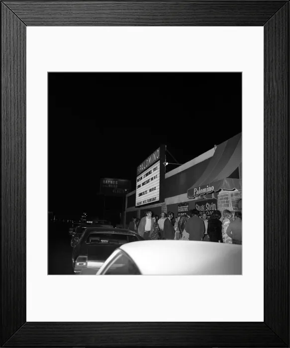 Framed Print : The Palomino Framed Print : The Palomino