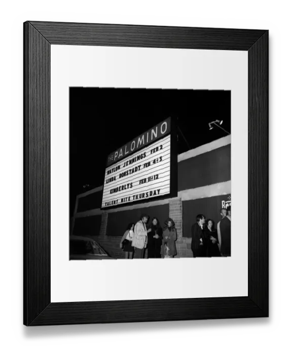 Framed Print : The Palomino Framed Print : The Palomino