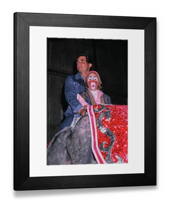 Framed Print : A Day At The Circus Framed Print : A Day At The Circus