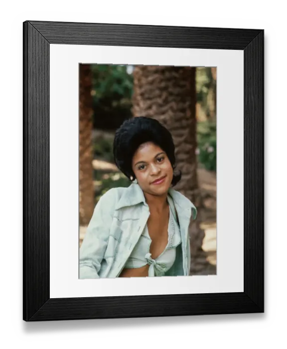 Framed Print : Diana Bruner Soul Train Dancer Framed Print : Diana Bruner Soul Train Dancer