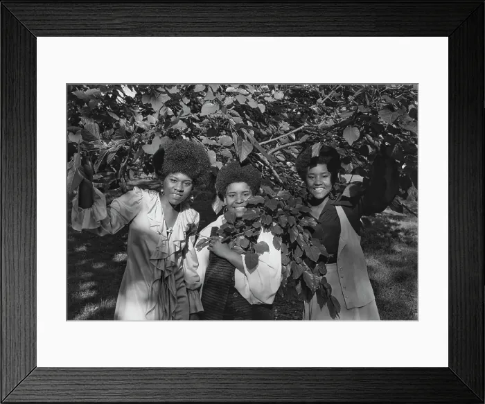 Framed Print : The Emotions Framed Print : The Emotions