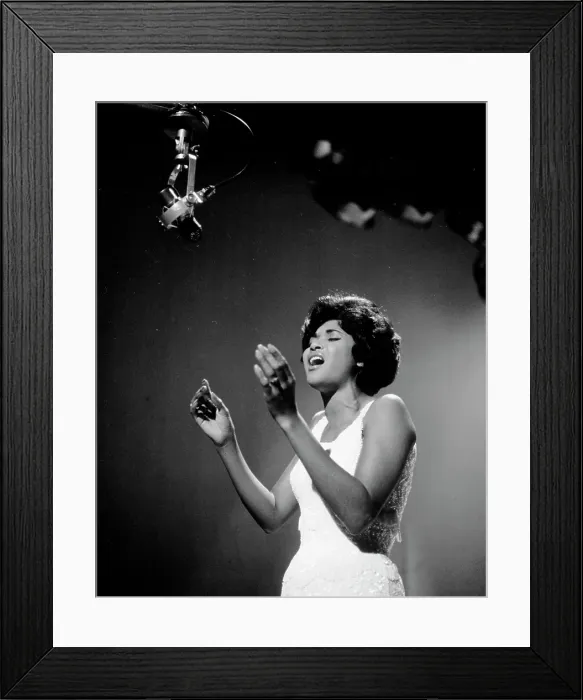 Framed Print : Nancy Wilson Framed Print : Nancy Wilson