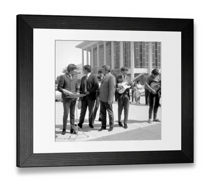 Framed Print : Photo of Turtles Framed Print : Photo of Turtles