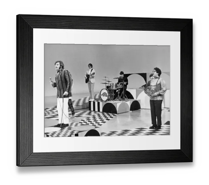 Framed Print : Photo of Turtles