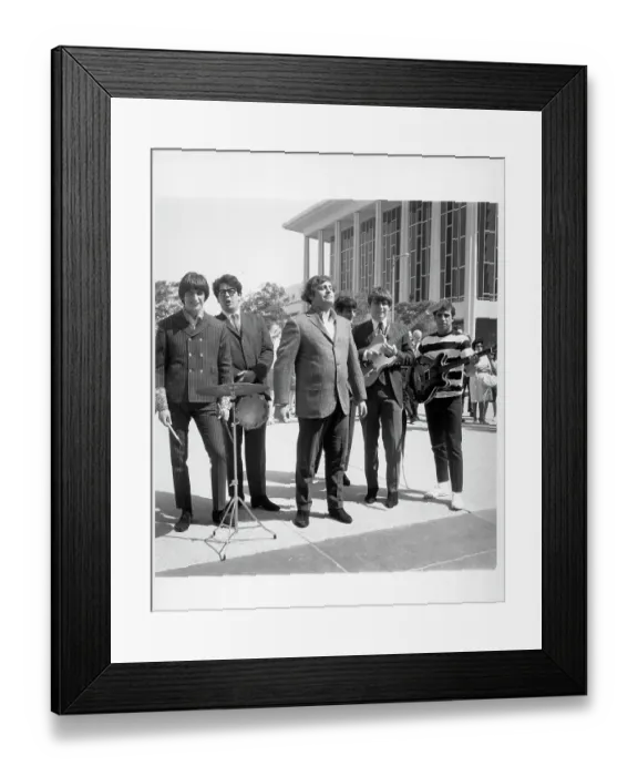 Framed Print : Photo of Turtles Framed Print : Photo of Turtles