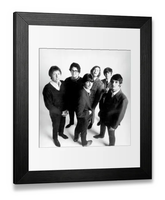 Framed Print : Photo of Turtles Framed Print : Photo of Turtles