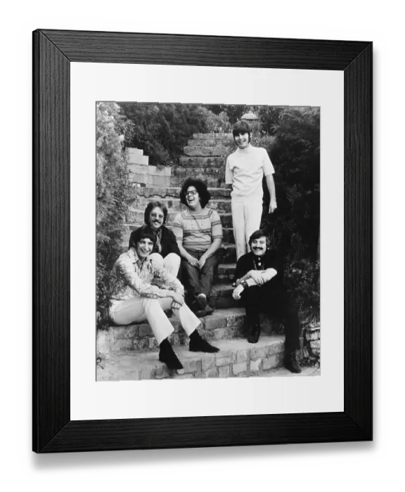 Framed Print : Photo of Turtles Framed Print : Photo of Turtles