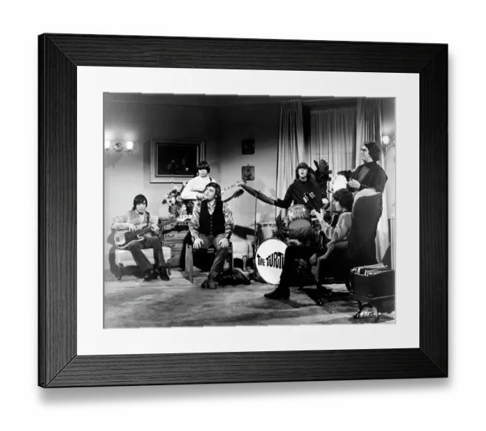 Framed Print : Photo of Turtles Framed Print : Photo of Turtles