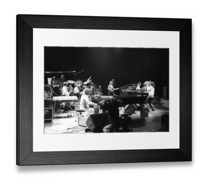 Framed Print : Photo of Toto