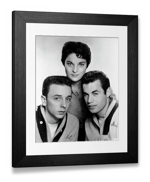 Framed Print : Photo of Teddy Bears Framed Print : Photo of Teddy Bears