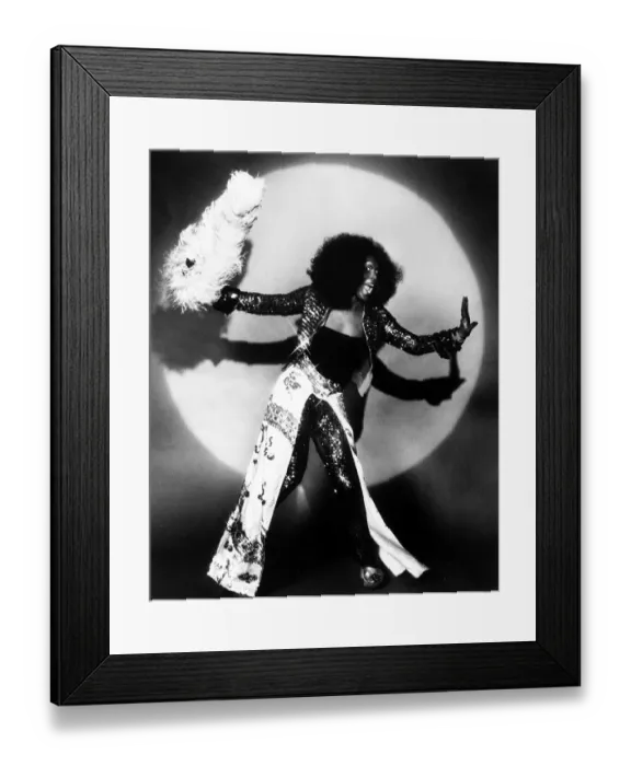 Framed Print : Photo of Sylvester Framed Print : Photo of Sylvester