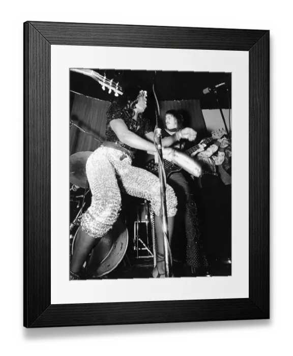 Framed Print : Photo of Sylvester