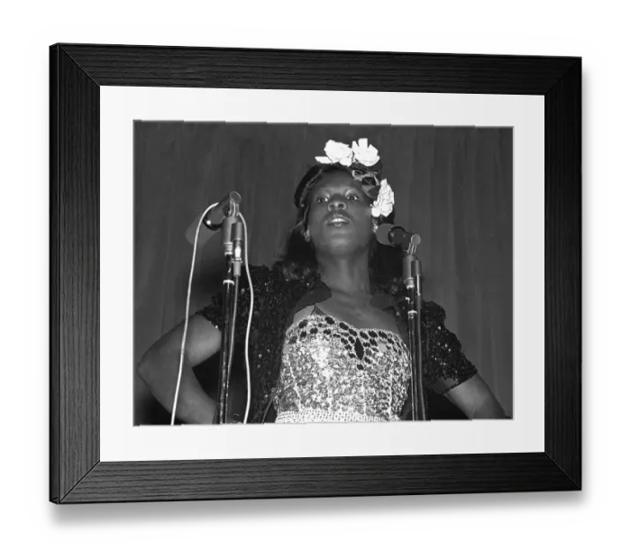Framed Print : Photo of Sylvester Framed Print : Photo of Sylvester